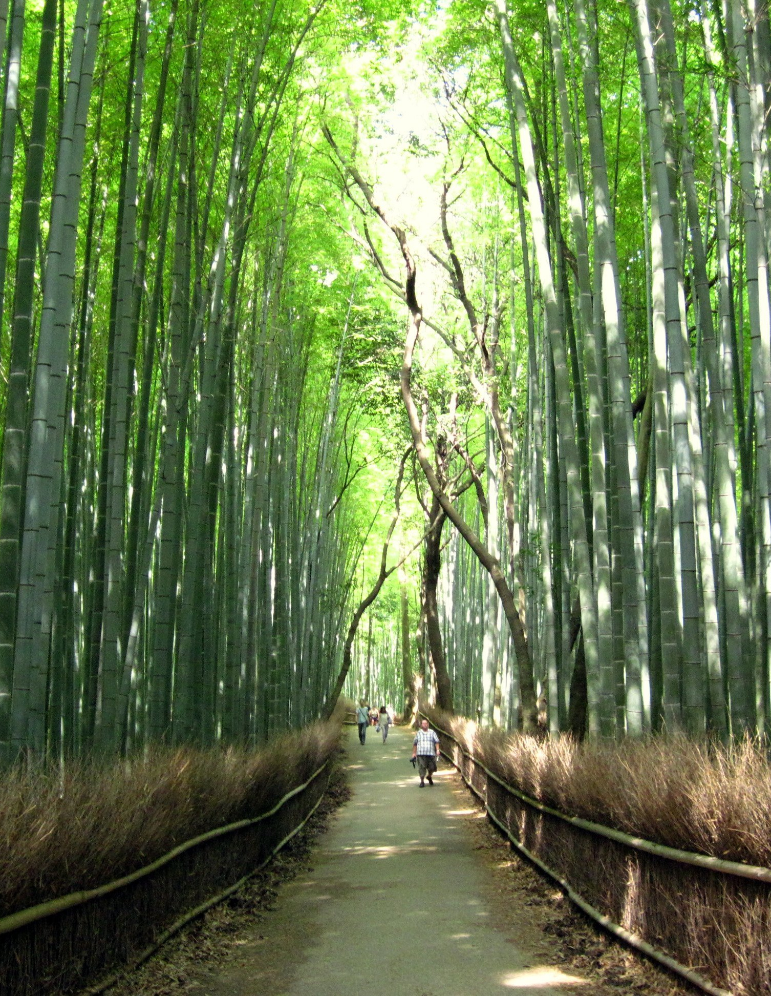 渡月橋イメージ